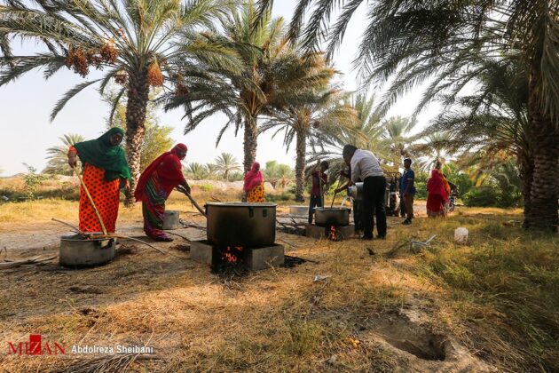Preparing Doushab; Old Tradition among Iran’s Date Farmers