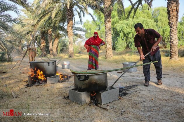 Preparing Doushab; Old Tradition among Iran’s Date Farmers