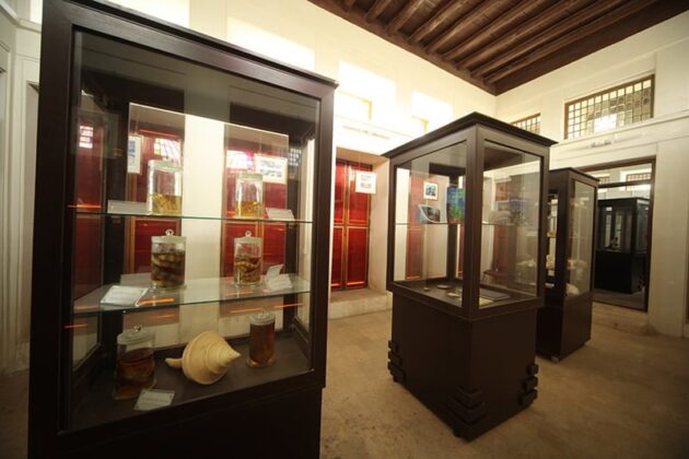 Iranian Museum of Medical History Internationally Recognized