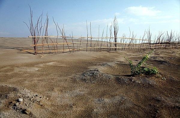 Iran Using Plants to Fight Dust Pollution in Lake Urmia