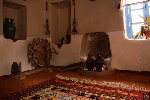 Iranian Woman Abandons City to Breathe Life into Remote Village