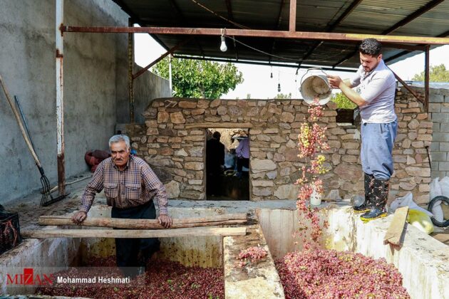 Baharestan Village Hub of Grape Syrup Production in Iran