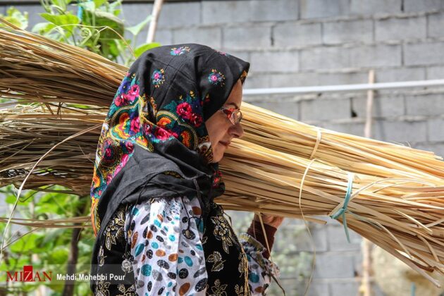 Mat Weaving Turns into Main Profession of Iranians in Mazandaran