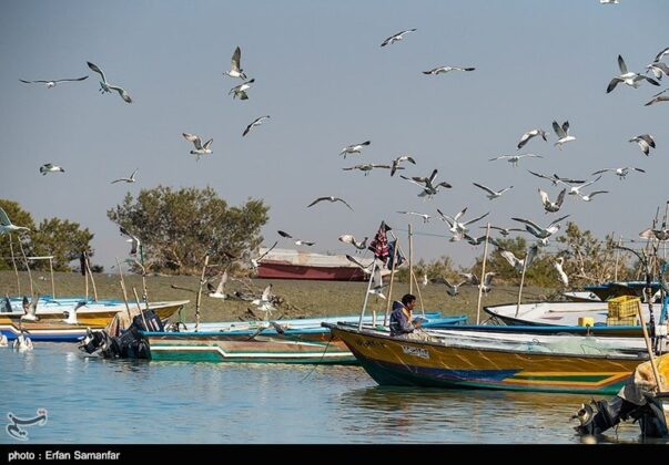 Sirik Lagoon, Iran