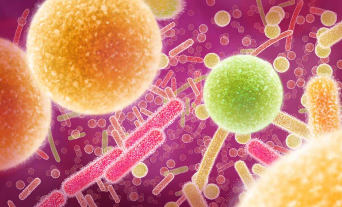 Probiotic Products Key to Preventing Digestive Disorders 2 Probiotic Products Key to Preventing Digestive Disorders