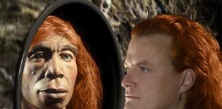 First Joint Habitat of Neanderthals, Homo Sapiens Found in Iran