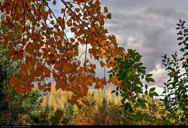 Amazing Beauty of Autumn in Iran’s Urmia, Semirom