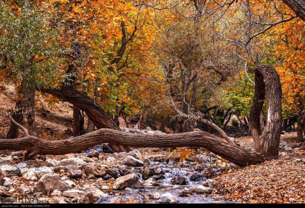 Amazing Beauty of Autumn in Iran’s Urmia, Semirom