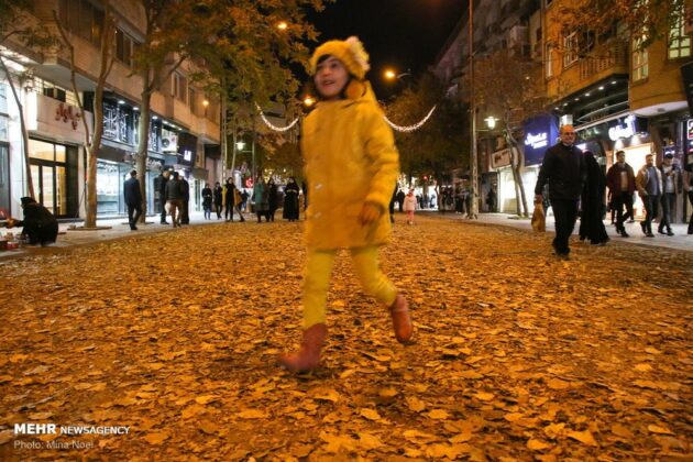 Autumn Leaves Decorate Streets of Tabriz