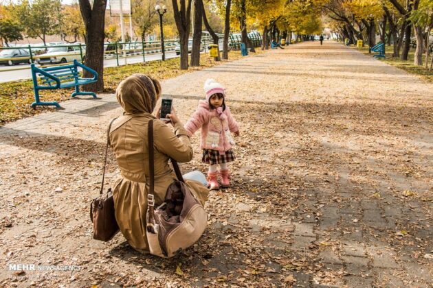 Autumn Leaves Decorate Streets of Tabriz