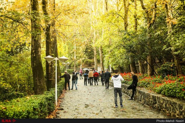 Mesmerizing Beauty of Tehran’s Jamshidieh Park in Autumn