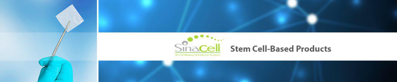 Iran to Export Stem Cell Products to Oman, Qatar, Syria