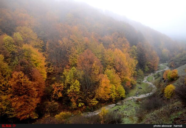 Alluring Beauty of Autumn in Iran’s Rudbar