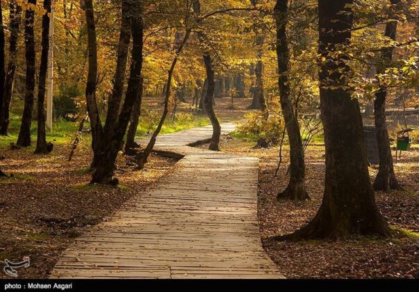 Gorgan in Autumn; Perfect Destination for Nature Lovers