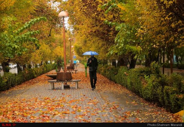 Magnificence of Autumn in Four Corners of Iran