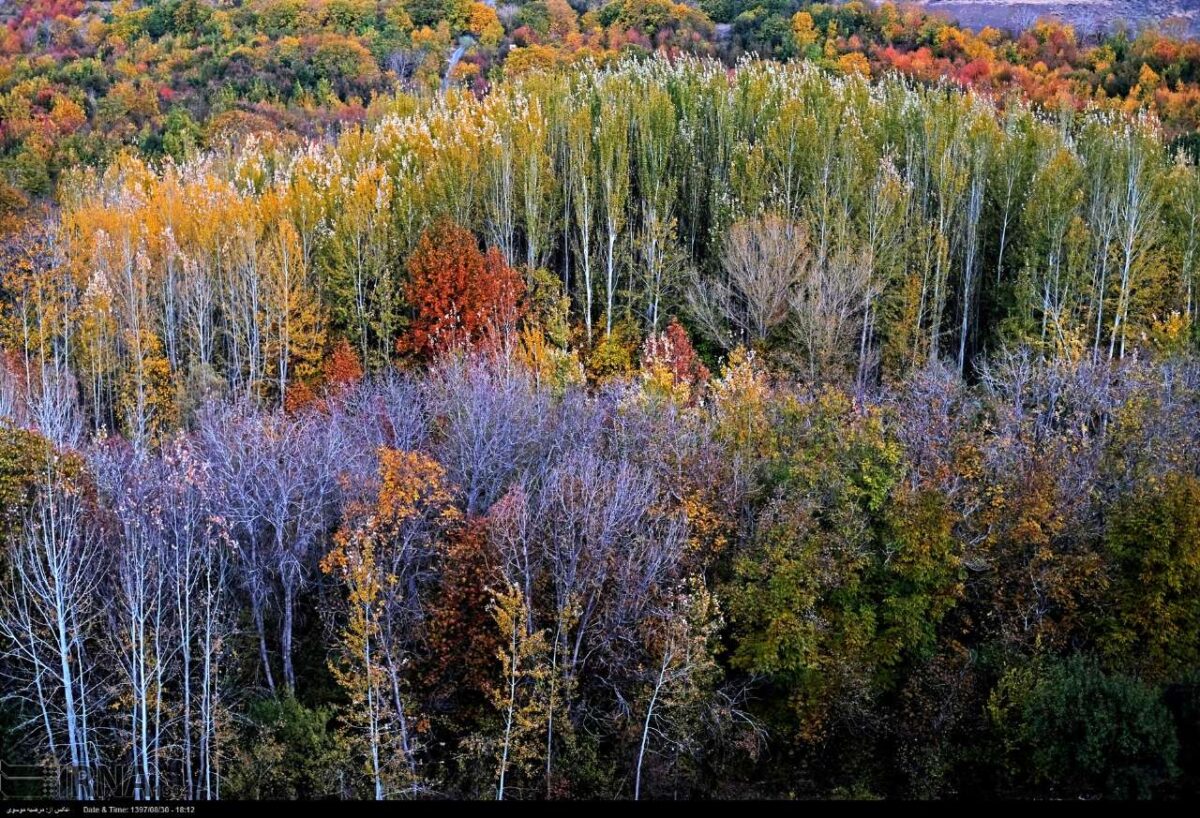 Magnificence of Autumn in Four Corners of Iran