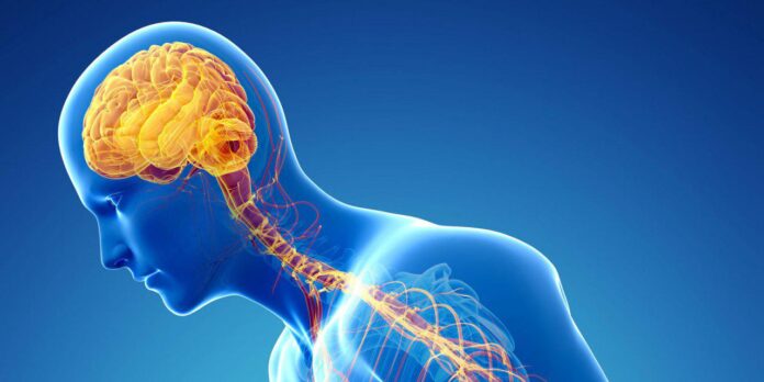 Researchers Use Nanotechnology to Treat Nervous System Diseases