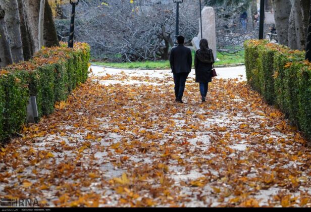 Pure Joy of Walking Streets of Tehran in Autumn