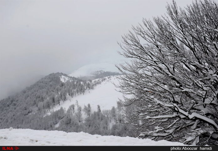 Asalem To Khalkhal Road; Most Beautiful Route In Iran - Iran Front Page