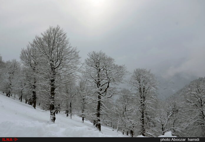 Asalem To Khalkhal Road; Most Beautiful Route In Iran - Iran Front Page