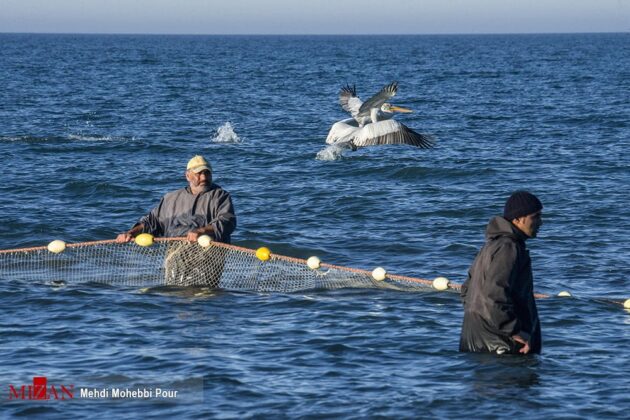 Fishing Season Begins in Northern Iran