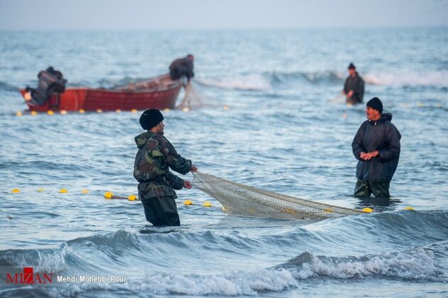 Fishing Season Begins in Northern Iran