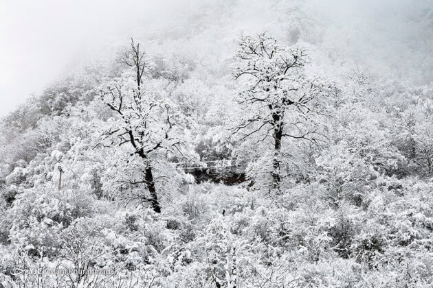 Iran’s Historic City of Masuleh Turns White by Heavy Snow