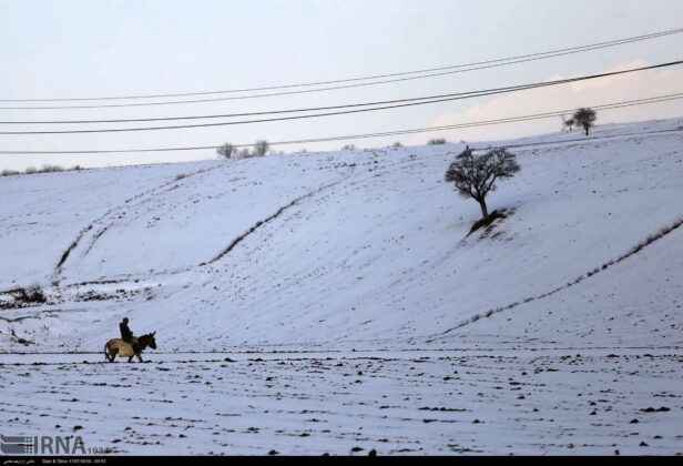 Iran’s Beauties in Winter: Nature of North Khorasan
