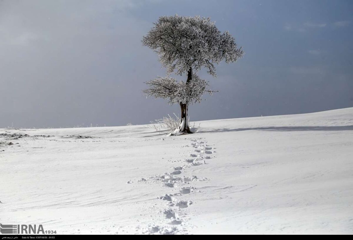 Iran’s Beauties in Winter: Nature of North Khorasan