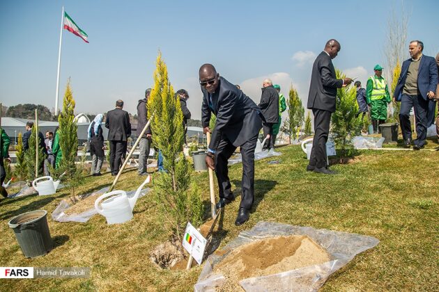 Foreign Diplomats, Delegates Plant Saplings in Tehran