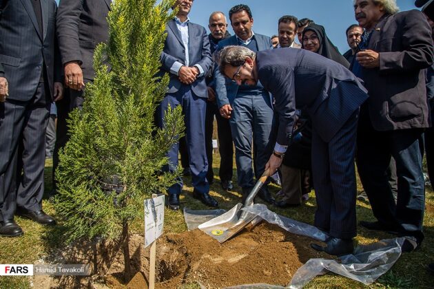 Foreign Diplomats, Delegates Plant Saplings in Tehran