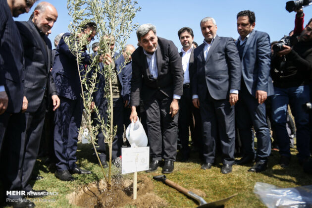 Foreign Diplomats, Delegates Plant Saplings in Tehran