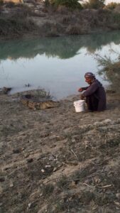 Iranian Farmer Doing Best to Save Crocodiles from Extinction