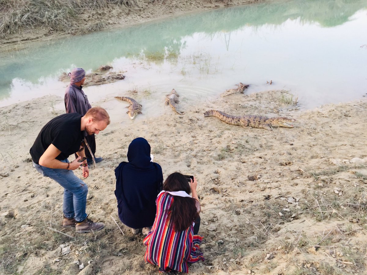 Iranian Farmer Doing Best to Save Crocodiles from Extinction