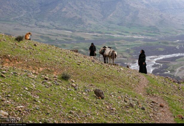 Two Families Living Primitive Life in Southern Iran 18