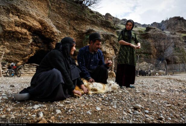 Two Families Living Primitive Life in Southern Iran 19