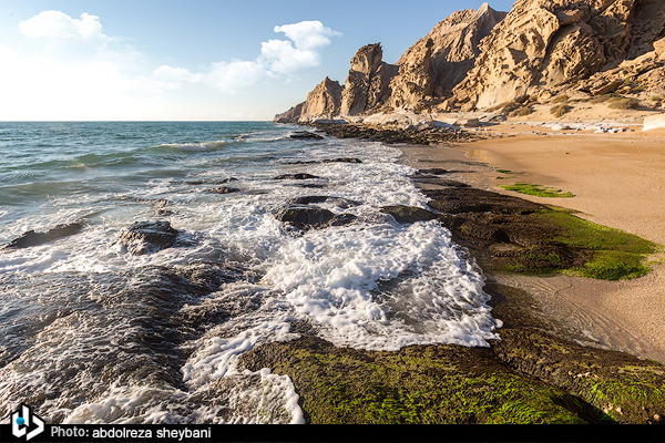 Beauty of Persian Gulf More Tangible at Parsian Coast
