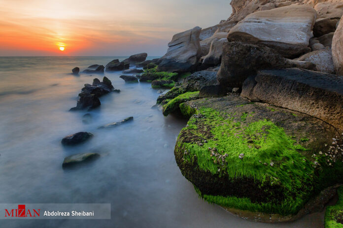 Beauty of Persian Gulf More Tangible at Parsian Coast