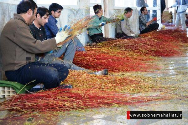 Red Willow Production Cuts Unemployment in Iranian Village