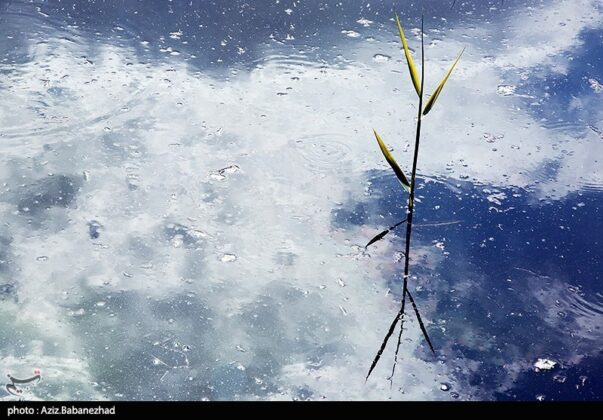 Iran’s Beauties in Photos Pol e Dokhtar Lagoons 1