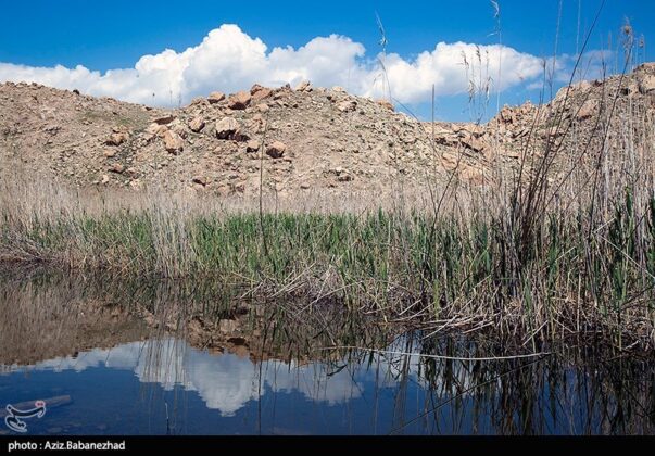 Iran’s Beauties in Photos Pol e Dokhtar Lagoons 11