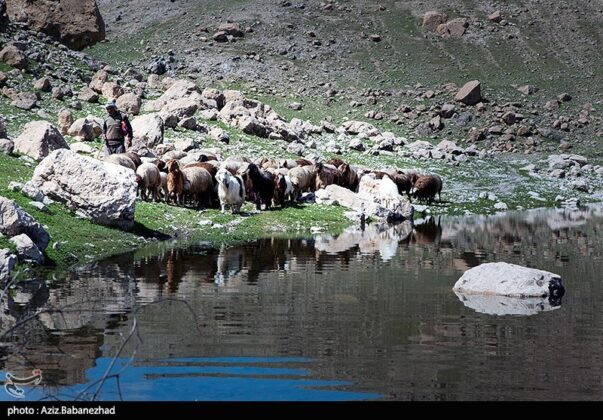 Iran’s Beauties in Photos Pol e Dokhtar Lagoons 14