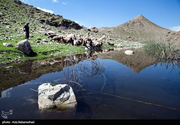 Iran’s Beauties in Photos Pol e Dokhtar Lagoons 15