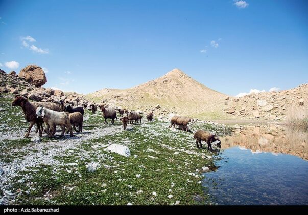 Iran’s Beauties in Photos Pol e Dokhtar Lagoons 4