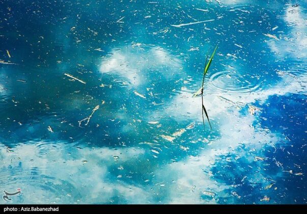 Iran’s Beauties in Photos Pol e Dokhtar Lagoons 5