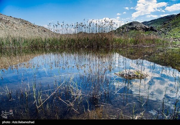 Iran’s Beauties in Photos Pol e Dokhtar Lagoons 6