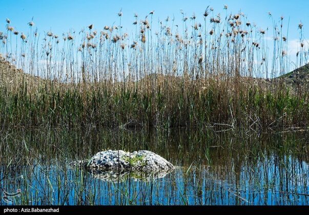 Iran’s Beauties in Photos Pol e Dokhtar Lagoons 7