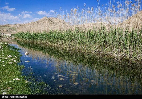 Iran’s Beauties in Photos Pol e Dokhtar Lagoons 8