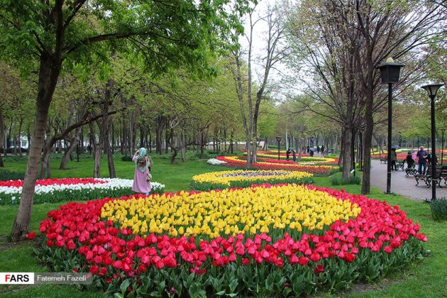 Mashhad Hosts Festival of Tulip, Daffodil Flowers