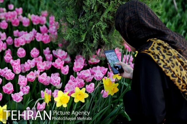 Son Covers Street in Tehran with 200,000 Tulips in Mother’s Memory